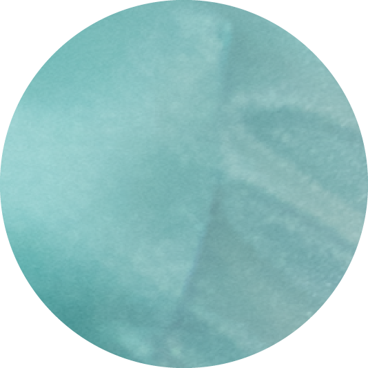 Low Rise Full Coverage Bikini Bottom
