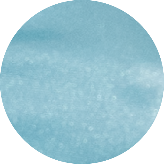 Low Rise Full Coverage Bikini Bottom