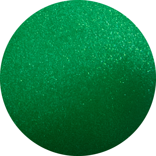 Low Rise Full Coverage Bikini Bottom